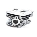 Honda GX160 Cylinder Head Gcbpt OEM Number: 12210-Z4M-405 (HEN0725)
