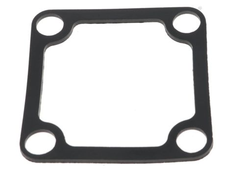 Wb20Xt Pump Outlet Gasket