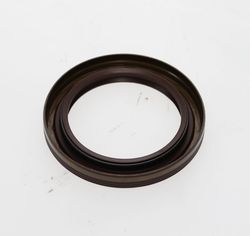 Oil Seal-1