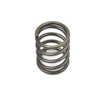 Valve Spring (HGR0449)