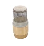 Suction Filter 3/4"