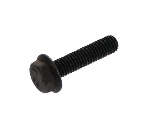 Flange Screw