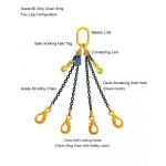 Lifting Chain