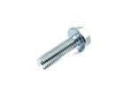 Flange Screw (HVP2022)