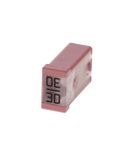 Pink 30 Amp Mcase Fuse