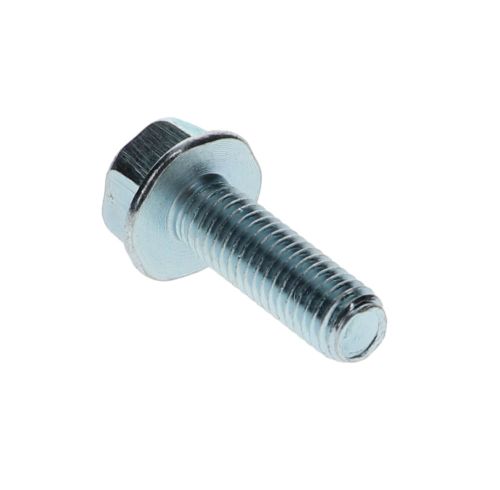 Flange Screw