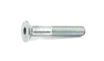 Screw (HVP2962)