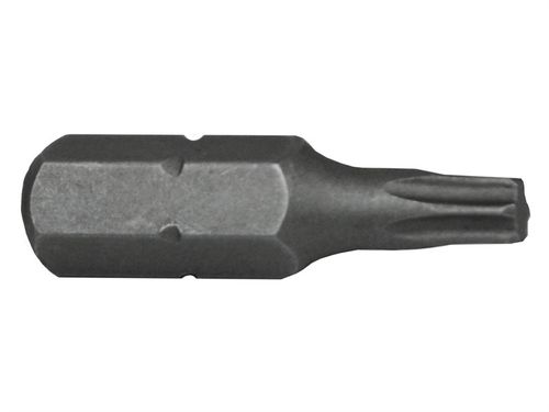 Torx T30 S2 Steel Screwdriver Bit