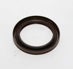 Oil Seal-1