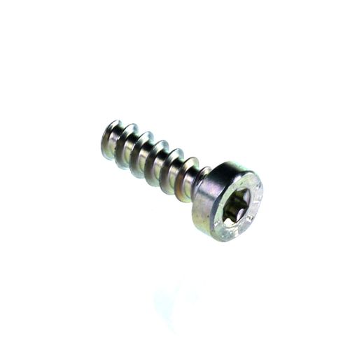 Self Tapping Screw