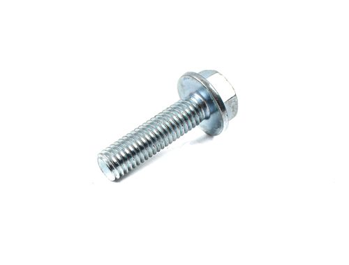 Flange Screw