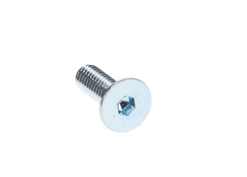Screw