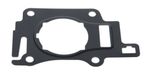 Cylinder Gasket