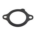 Hydraulic Tank Gasket (HMP1290)