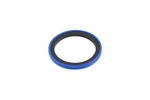 JCB Style Ram Seal Service Kit OEM: 991/20023 (HTH2639)