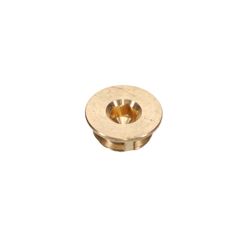Locking Plug
