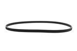 Poly V Drive Belt TS800 (HDC1923)