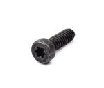 Screw (HDC0230)