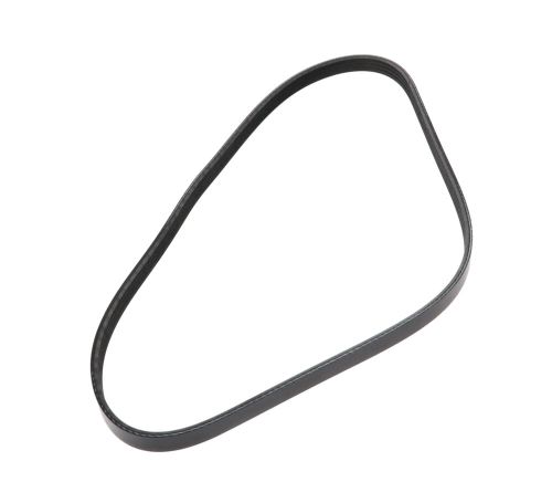 Belt 16"