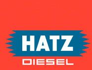 Hatz Exhaust tail pipe bolt Washer oem number: 50144500 (HEN1133)