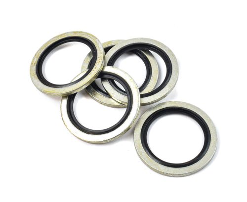 3/4" BSP Dowty Seals