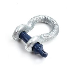 Tested Bow Shackle (HLS0294)