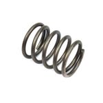 Valve Spring