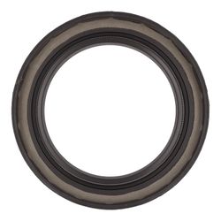 Oil Seal-1
