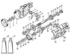 Gear Head